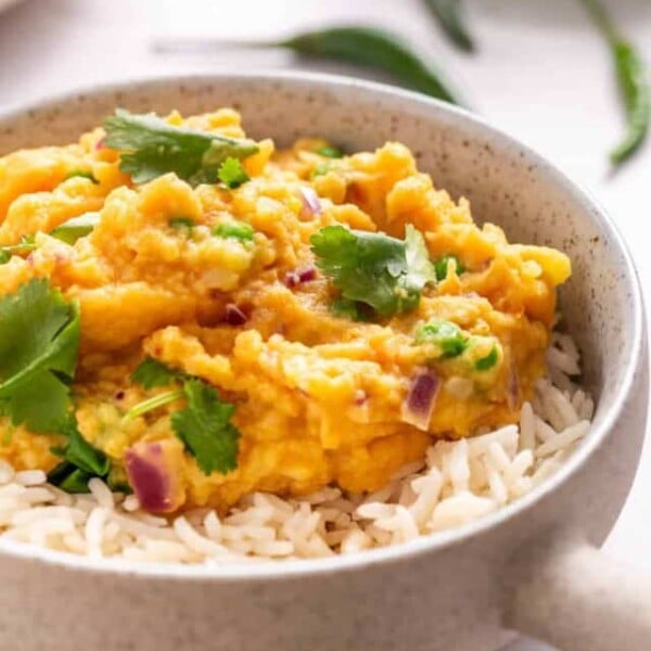 An overhead image of vegetable korma served over rice in a bowl.