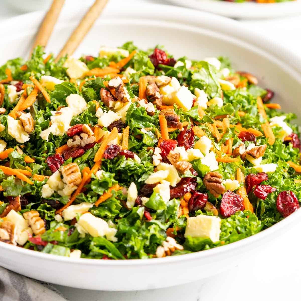 A close-up view of a white bowl with kale and cranberry salad.