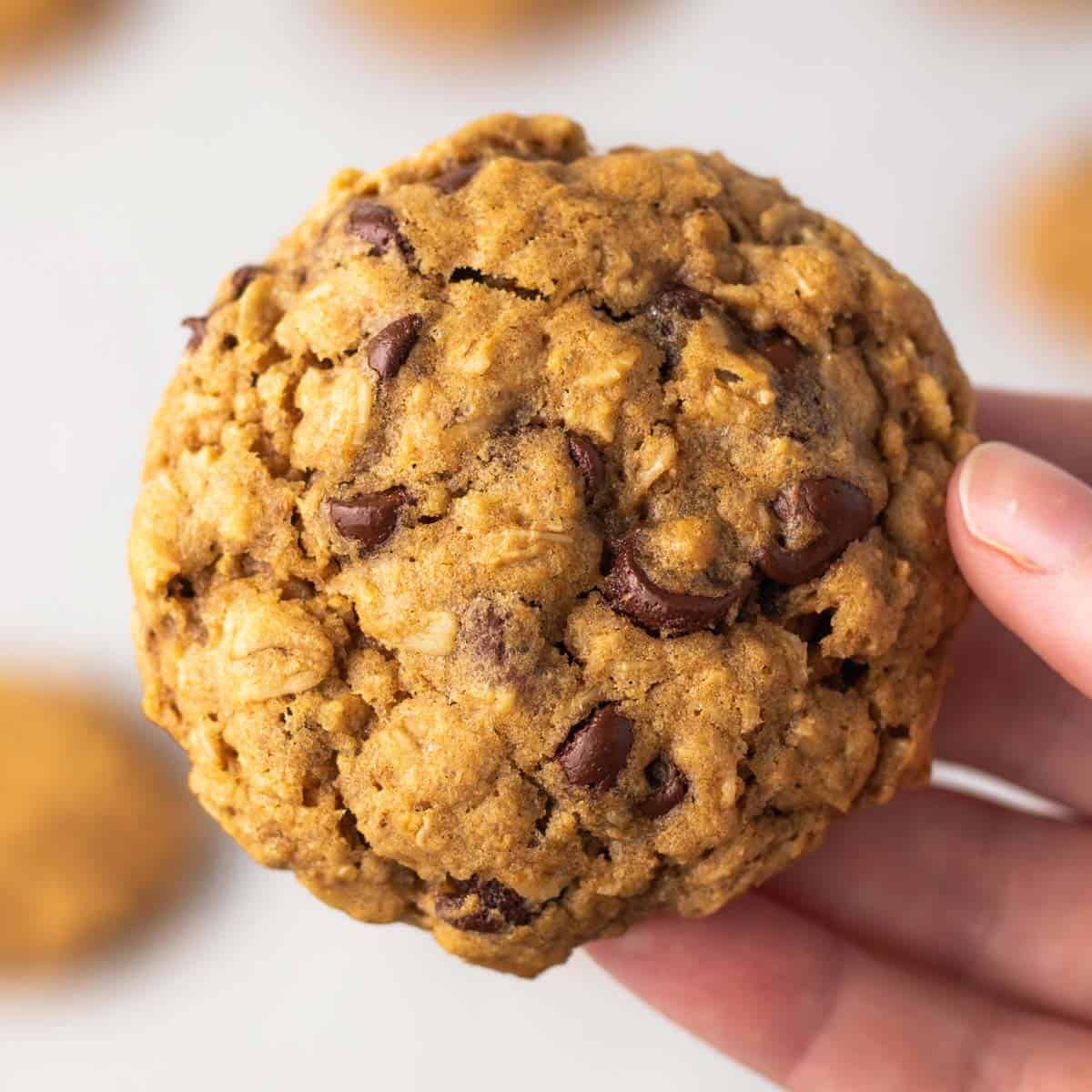 A close-up view of a person holding the best vegan oatmeal chocolate chip cookie.